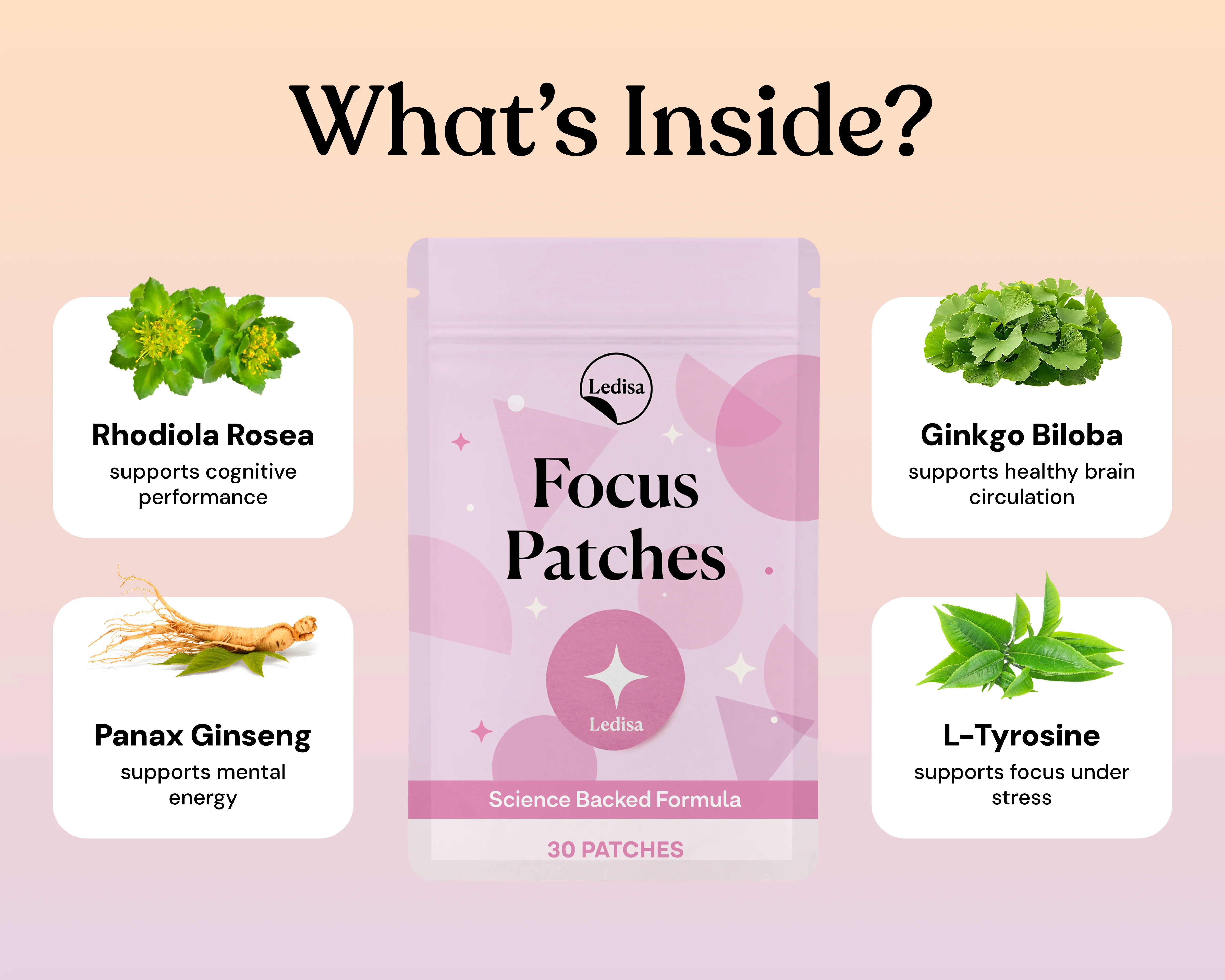 Focus Patches - Image 2